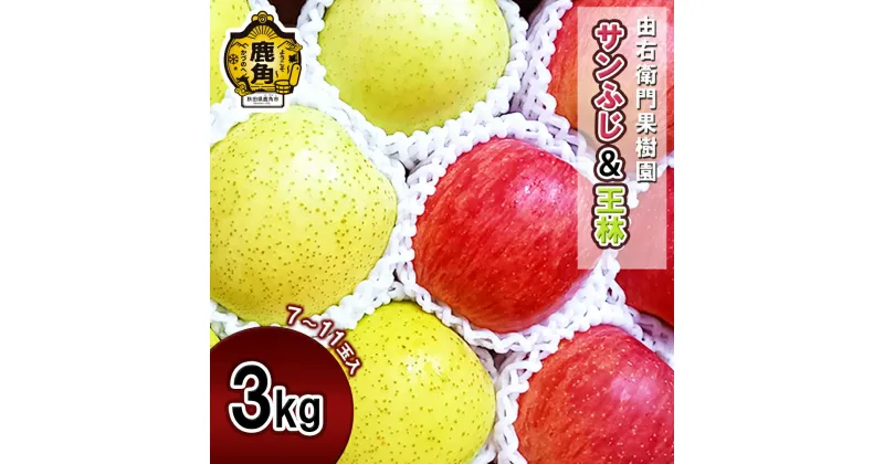 【ふるさと納税】《 先行予約 》 由右衛門果樹園 りんご 「 サンふじ & 王林 」 3kg ( 7～11玉入 ) 食感 果汁 リンゴ 完熟 お中元 お歳暮 贈り物 お見舞い グルメ ギフト 故郷 秋田 あきた 鹿角市 鹿角 りんご 送料無料 【由右衛門果樹園】