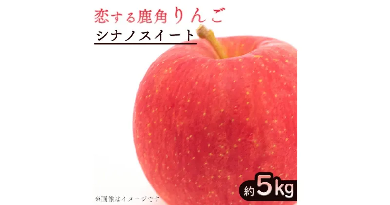 【ふるさと納税】令和6年産 鹿角 りんご シナノスイート 約 5kg かづのりんご 食感 果汁 さっぱり リンゴ 完熟 旬 県産りんご お中元 お歳暮 贈り物 お見舞い グルメ ギフト 故郷 秋田 あきた 鹿角市 鹿角 送料無料 【恋する鹿角カンパニー】