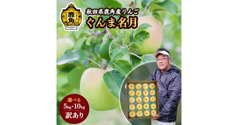 【ふるさと納税】 りんご 訳あり 鹿角りんご ぐんま名月 家庭用 5kg / 10kg 食感 果汁 リンゴ 完熟 旬 県産 りんご お中元 お歳暮 贈り物 グルメ ギフト 故郷 秋田 あきた 鹿角市 鹿角 送料無料 【山麓園】