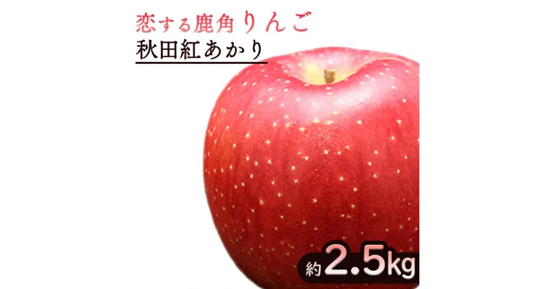 【ふるさと納税】《 先行予約 》令和6年産 鹿角 りんご 秋田紅あかり 約 2.5kg かづのりんご 食感 果汁 さっぱり リンゴ 完熟 旬 りんご 林檎 お中元 お歳暮 贈り物 お見舞い グルメ ギフト 故郷 秋田 あきた 鹿角市 鹿角 紅あかり 送料無料 【恋する鹿角カンパニー】