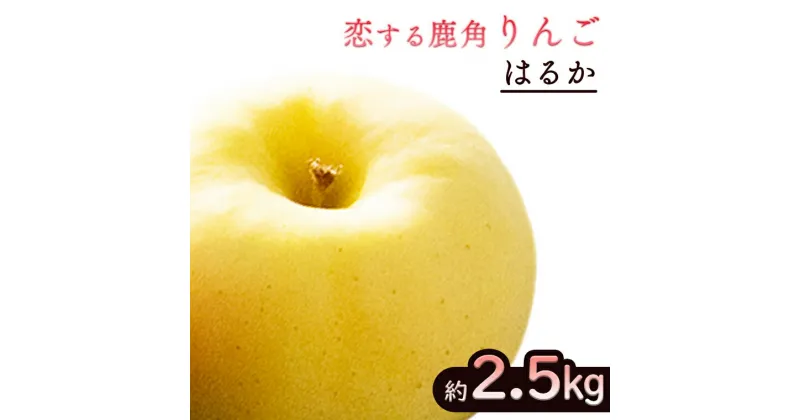 【ふるさと納税】《 先行予約 》令和6年産 秋田県 鹿角産 りんご はるか 約 2.5kg かづのりんご 食感 果汁 さっぱり リンゴ 完熟 旬 県産りんご お中元 お歳暮 贈り物 グルメ 秋田 あきた 鹿角市 鹿角 秀 甘い 蜜 送料無料 【恋する鹿角カンパニー】