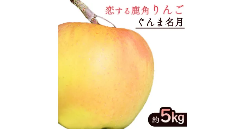 【ふるさと納税】《 先行予約 》令和6年産 鹿角 りんご ぐんま名月 約 5kg かづのりんご 食感 果汁 さっぱり リンゴ 完熟 旬 県産りんご お中元 お歳暮 贈り物 お見舞い グルメ ギフト 故郷 秋田 あきた 鹿角市 鹿角 送料無料 【恋する鹿角カンパニー】