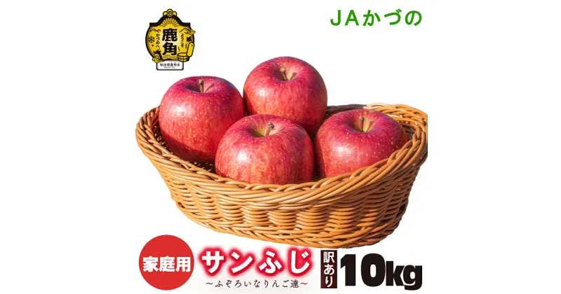 【ふるさと納税】 JA りんご 《 先行予約 》 訳あり 鹿角産 りんご サンふじ 10kg 家庭用 規格外 お徳用 林檎 リンゴ 完熟 蜜 10キロ 10K 10k 10KG 10 箱入り 旬 県産りんご お中元 お歳暮 贈り物 お見舞い ギフト 秋田県 秋田 あきた 鹿角市 鹿角 送料無料 【JAかづの】