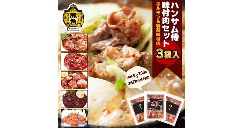 【ふるさと納税】ハンサム侍 特製だれ使用 ホルモン 300g + 選べる加工肉 牛 豚 鶏 レバー モツ 鍋 ホルモン もつ 焼肉 ブランド豚 豚肉 おかず おつまみ 食べやすい お歳暮 グルメ ギフト 故郷 秋田 あきた 鹿角市 鹿角 鹿角ホルモン 送料無料 【ハンサム侍】