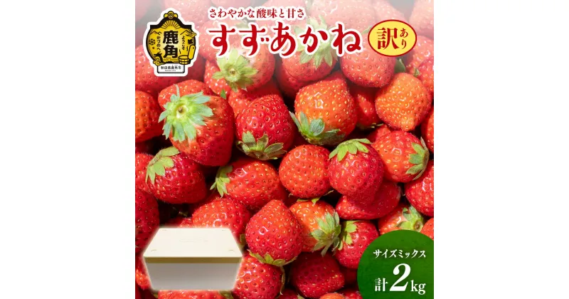 【ふるさと納税】 訳あり すずあかね いちご 2kg サイズMIX おすそ分け 県産いちご 国産いちご いちご 苺 イチゴ お中元 お歳暮 母の日 父の日 贈り物 贈答用 ホワイトデー ケーキ バースデー グルメ 故郷 秋田 あきた 鹿角市 鹿角 送料無料 【神田農園】