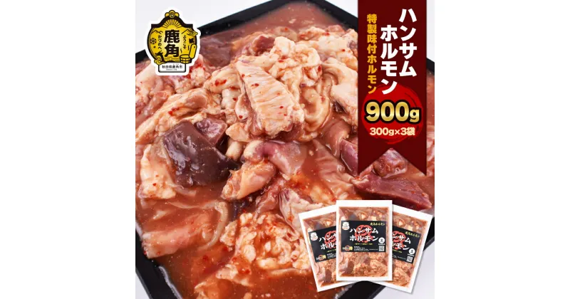 【ふるさと納税】 ホルモン 300g × 3袋 ハンサム侍 特製だれ使用 （ 合計 900g ） セット 特製 タレ 味付き 鍋 ホルモン もつ 焼肉 ブランド豚 豚肉 おかず おつまみ 食べやすい お歳暮 グルメ ギフト 故郷 秋田 あきた 鹿角市 鹿角 鹿角ホルモン 送料無料 【ハンサム侍】