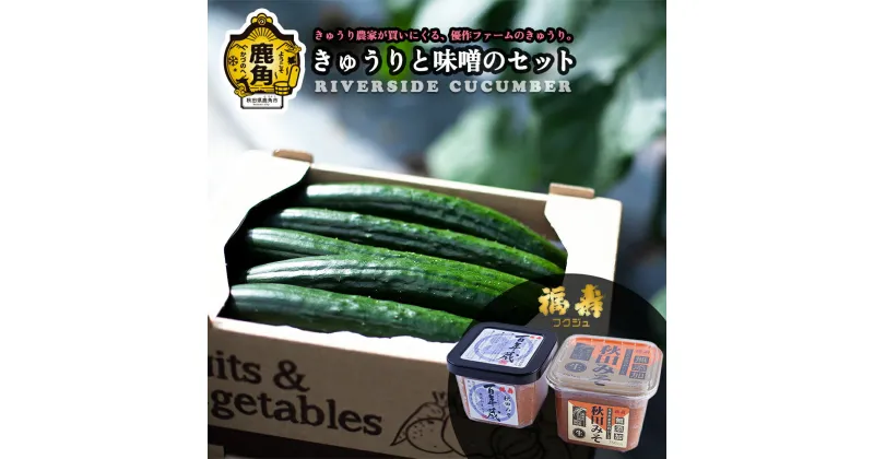 【ふるさと納税】 野菜ソムリエサミット 銀賞受賞 リバーサイド きゅうり ＆ 味噌 セット 浅利佐助商店 秋田みそ 新鮮 旬 安全 とれたて クール便 キュウリ 胡瓜 県産野菜 国産野菜 お中元 お歳暮 お取り寄せ グルメ 秋田 あきた 鹿角市 鹿角 送料無料 【優作ファーム】