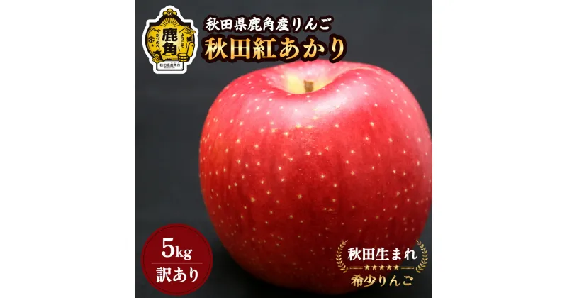 【ふるさと納税】 りんご 《 先行予約 》 訳あり 鹿角りんご 秋田紅あかり 家庭用 5kg ( 13～18玉入 ) 食感 果汁 リンゴ 完熟 旬 県産 りんご お中元 お歳暮 贈り物 グルメ ギフト 故郷 秋田 あきた 鹿角市 鹿角 送料無料 【山麓園】