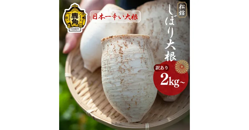 【ふるさと納税】《 先行予約 》 訳あり 松館 しぼり大根 2kg / 4kg / 規格外 4.5kg 薬味大根 GI 地理的表示登録 薬味 大根 ダイコン 野菜 地大根 伝統野菜 日本一 辛い 大根おろし ギフト お中元 お歳暮 ふるさと 返礼品 鹿角市 秋田 送料無料 【TR farm】