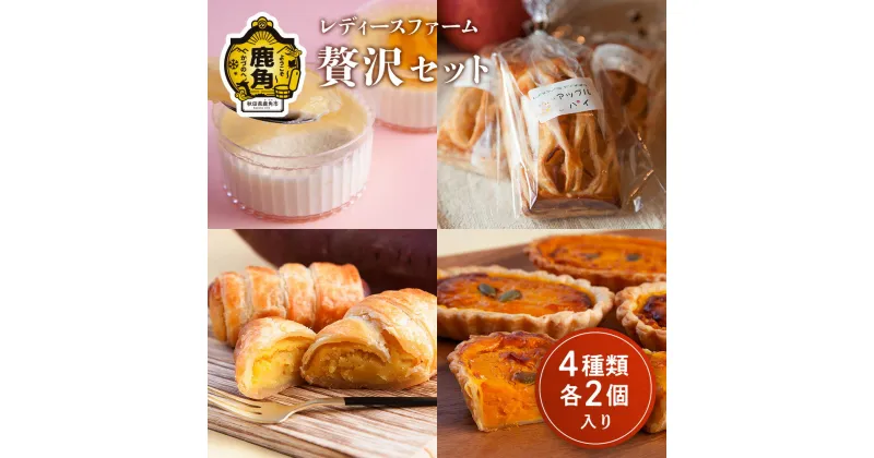 【ふるさと納税】 レディースファーム贅沢セット 8個入り( 各2個入り ) スイーツ お菓子 バレンタインデー ホワイトデー 家庭用 完熟 国産 お中元 お歳暮 贈り物 贈答用 グルメ ギフト 故郷 秋田 あきた 鹿角市 鹿角 送料無料 【レディースファーム】