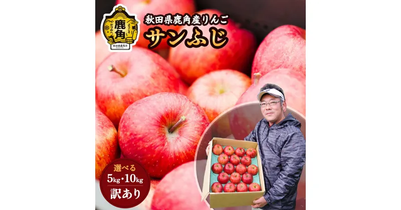 【ふるさと納税】 りんご 《 先行予約 》 訳あり 鹿角りんご サンふじ 家庭用 5kg / 10kg 食感 果汁 リンゴ 完熟 旬 県産 りんご お中元 お歳暮 贈り物 グルメ ギフト 故郷 秋田 あきた 鹿角市 鹿角 送料無料 【山麓園】