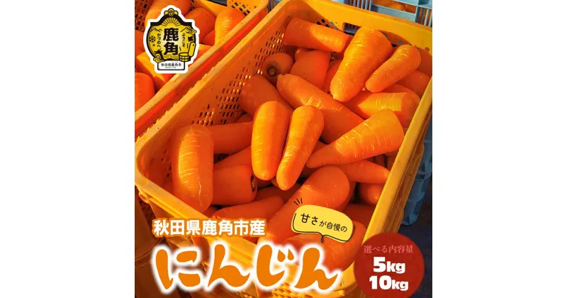 【ふるさと納税】《 先行予約 》 にんじん 5kg / 10kg 人参 甘い 秋田県 鹿角市 国産 野菜 高糖度 ニンジン グルメ ギフト 故郷 秋田 あきた 鹿角市 鹿角 送料無料 【鏡田ファーミング】