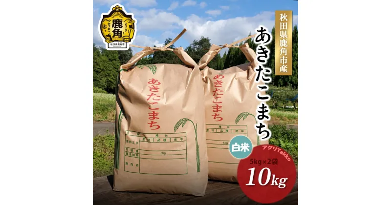 【ふるさと納税】 米 令和6年産 秋田県産 あきたこまち 精米 10kg ( 5kg × 2袋 ) お米 ご飯 ごはん 精米 新米 県産 国産 お中元 お歳暮 お取り寄せ グルメ ギフト 故郷 秋田 あきた 鹿角市 鹿角 送料無料 【アグリTakko】