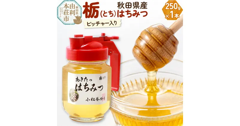 【ふるさと納税】小松養蜂場 はちみつ 秋田県産 100％ ピッチャー入 栃蜂蜜 250g【8月より順次発送】