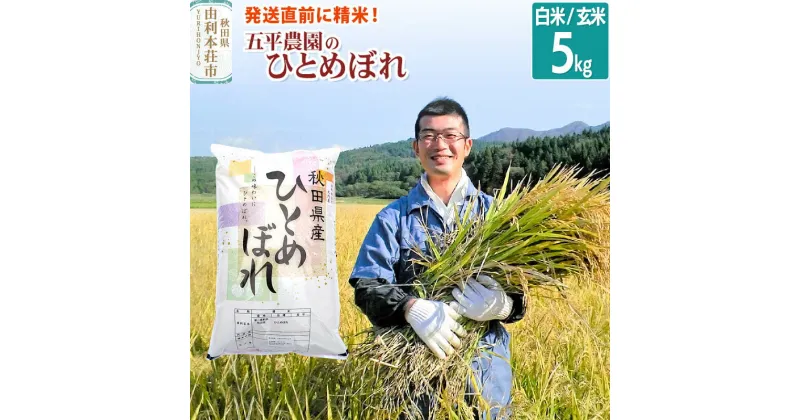 【ふるさと納税】【白米／玄米】ひとめぼれ 令和6年産 秋田県産 五平農園のひとめぼれ 5kg