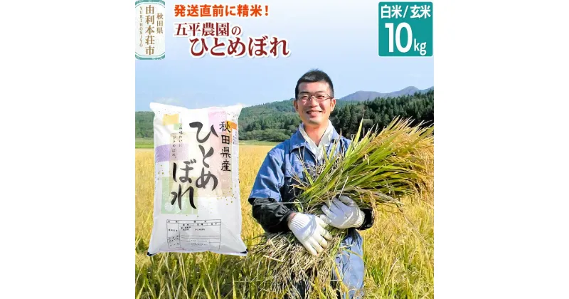 【ふるさと納税】【白米／玄米】ひとめぼれ 令和6年産 秋田県産 五平農園のひとめぼれ 10kg