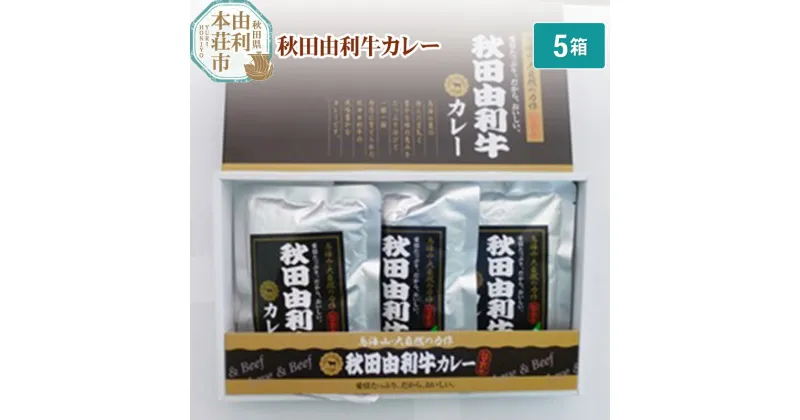 【ふるさと納税】秋田由利牛カレー 200g×5箱