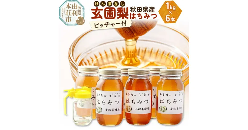 【ふるさと納税】小松養蜂場 はちみつ 秋田県産 100％ 玄圃梨蜂蜜 1kg×6本 ピッチャー付【8月より順次発送】