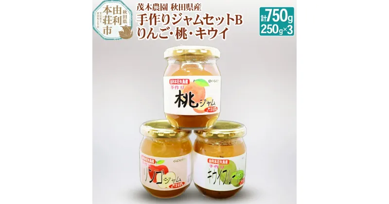 【ふるさと納税】茂木農園 秋田県産 手作りジャムセットB 合計750g（りんご、桃、キウイ 各250g）