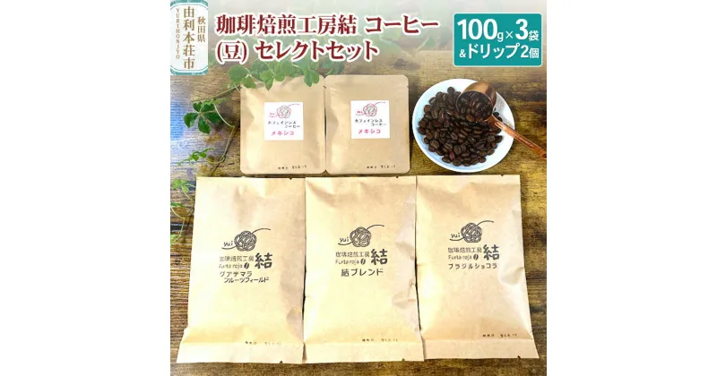 【ふるさと納税】珈琲焙煎工房結 コーヒー(豆) セレクトセット(コーヒー (豆) 100g×3袋 ＆ ドリップコーヒー (粉) 10g×2個)