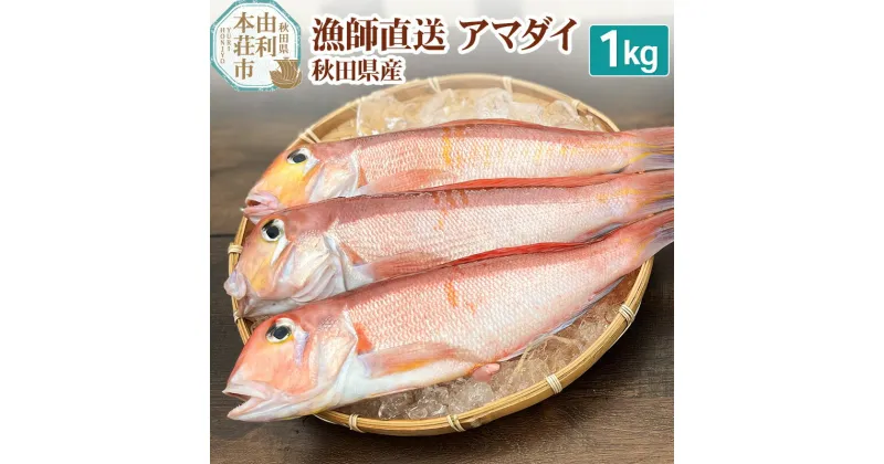 【ふるさと納税】漁師直送 甘鯛 (あまだい) 秋田県産 1kg (配送期間 5月～10月末予定、期間外は次期予約扱い)