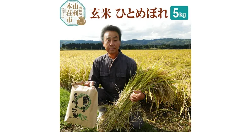 【ふるさと納税】【玄米】 ＜通算5回 特A＞ ひとめぼれ 5kg 令和6年産 農家直送 渡部さんのひとめぼれ