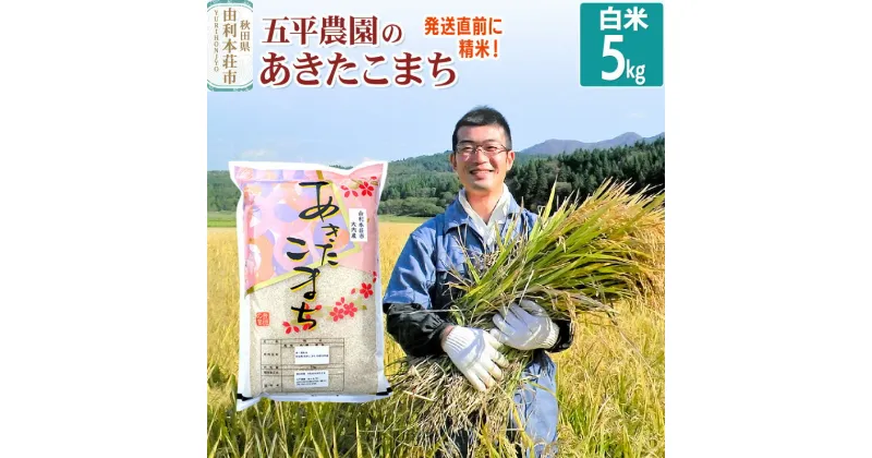 【ふるさと納税】【白米】《12月より順次発送》あきたこまち 令和6年産 秋田県産 五平農園のあきたこまち 5kg