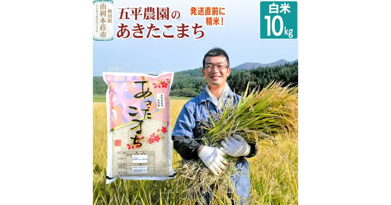 【ふるさと納税】【白米】《12月より順次発送》あきたこまち 令和6年産 秋田県産 五平農園のあきたこまち 10kg