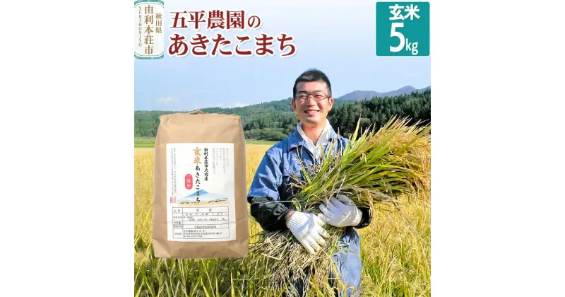 【ふるさと納税】【玄米】《12月より順次発送》あきたこまち 令和6年産 秋田県産 五平農園のあきたこまち 5kg