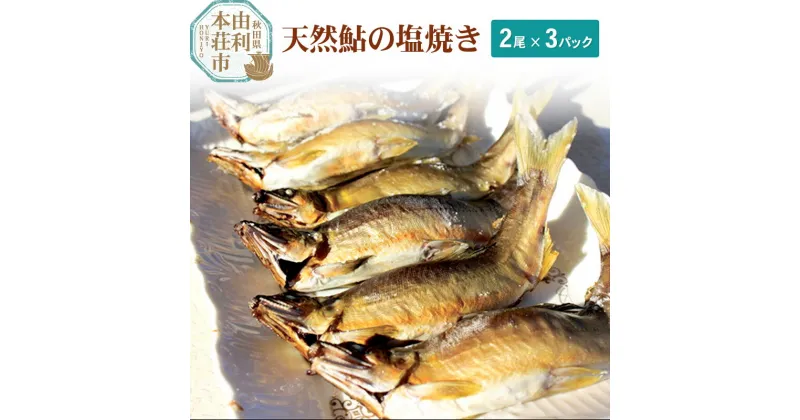 【ふるさと納税】天然鮎の塩焼き アユ2尾×3パック