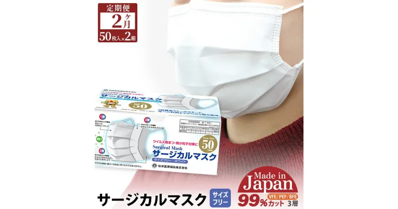 【ふるさと納税】《定期便2ヶ月》国内製造 高性能サージカルマスク 普通サイズ 50枚入り×2箱 (合計100枚)×2回 2か月 2ヵ月 2カ月 2ケ月