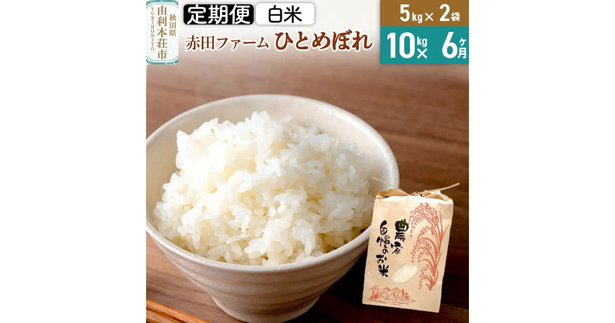 【ふるさと納税】《6ヶ月定期便》令和6年産【白米】秋田県産ひとめぼれ 10kg（5kg×2袋）