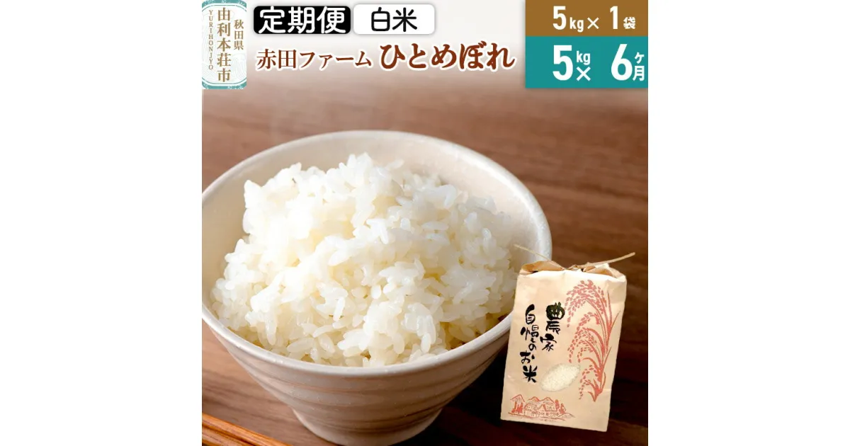 【ふるさと納税】《6ヶ月定期便》令和6年産【白米】秋田県産ひとめぼれ 5kg