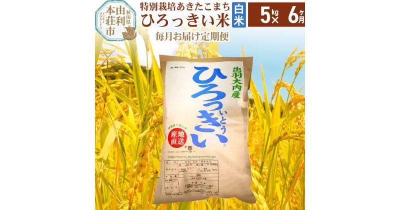 【ふるさと納税】《定期便6ヶ月》【白米】 秋田県産 あきたこまち 5kg 令和6年産 特別栽培米 ひろっきい米