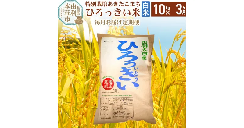 【ふるさと納税】《定期便3ヶ月》【白米】 秋田県産 あきたこまち 10kg 令和6年産 特別栽培米 ひろっきい米