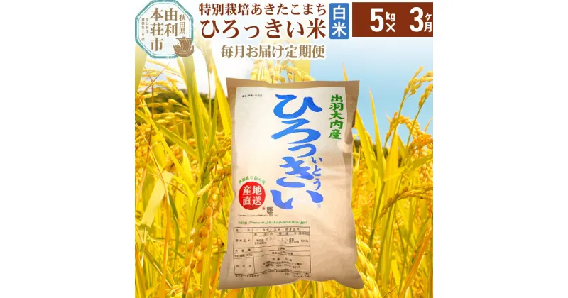 【ふるさと納税】《定期便3ヶ月》【白米】 秋田県産 あきたこまち 5kg 令和6年産 特別栽培米 ひろっきい米