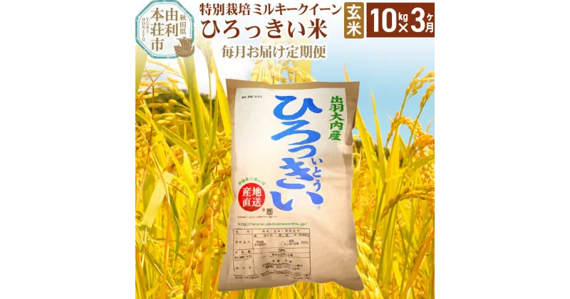 【ふるさと納税】《定期便3ヶ月》【玄米】 秋田県産 ミルキークイーン 10kg 令和6年産 ひろっきい米