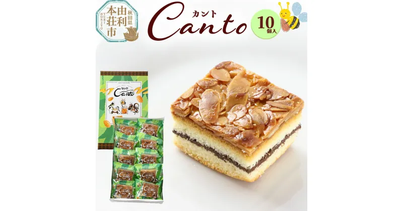 【ふるさと納税】カント 10個入り キャラメルケーキ スイーツ ケーキ クーベルチュール チョコレート 10ケ入 10コ入 箱入