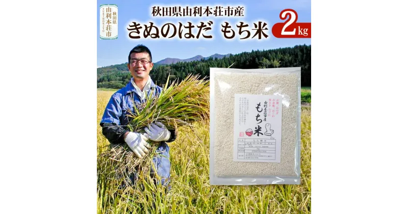 【ふるさと納税】【もち米】 2kg 秋田県由利本荘市産 きぬのはだ 精米