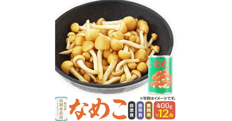 【ふるさと納税】なめこ 400g(固形量200g)×12缶 缶詰 国産 非常食 保存食 業務用