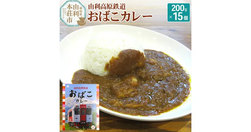 【ふるさと納税】由利高原鉄道 おばこカレー 中辛 200g×15個セット