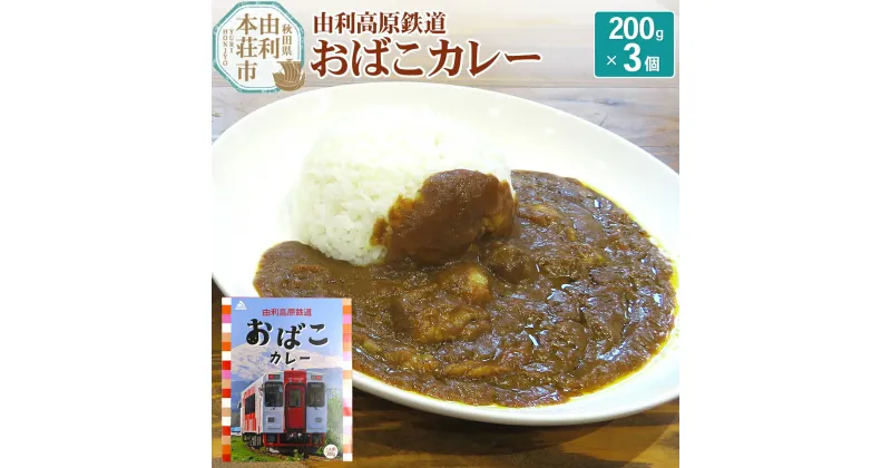 【ふるさと納税】由利高原鉄道 おばこカレー 中辛 200g×3個セット