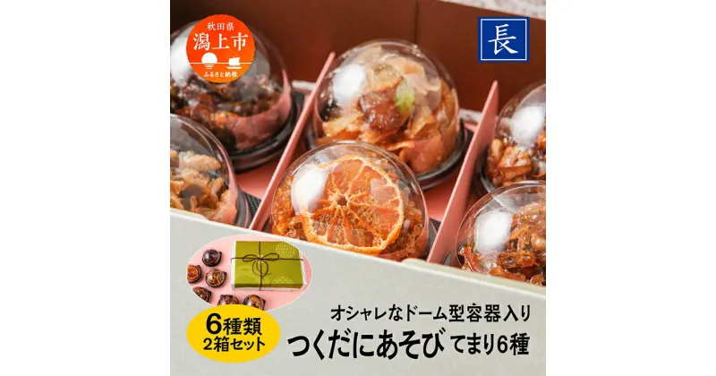 【ふるさと納税】 佃煮 詰め合わせ 6種 セット 2箱 ご飯のお供 ご飯がすすむ つくだ煮 いか わかさぎ おすすめ 老舗 グルメ お取り寄せ おいしい 甘め 人気 おつまみ 肴 酒のあて おかず 秋田 秋田県 潟上 潟上市 【佐藤食品】