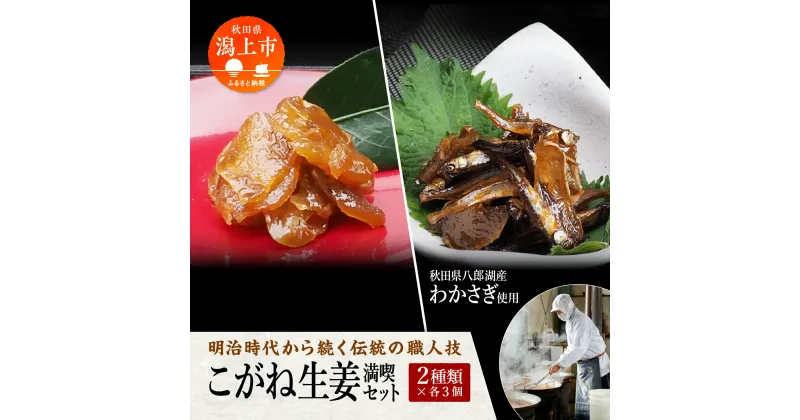 【ふるさと納税】 佃煮 詰め合わせ 2種類 こがね生姜 わかさぎ ご飯のお供 老舗 お茶漬け 秋田 つくだ煮 つくだに しょうが おつまみ 珍味 小袋 酒の肴 つまみ ツマミ わかさぎ ワカサギ グルメ 人気 おすすめ 潟上市 訳あり 【佐藤徳太郎商店】