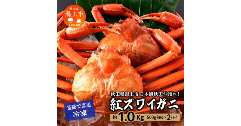 【ふるさと納税】 ズワイガニ 2匹 約 1kg 冷凍 紅ズワイガニ ベニズワイガニ ずわい ズワイ蟹 ずわいがに ずわい蟹 姿 ボイル 訳あり 蟹 カニ かに 国産 蟹 不揃い 傷 緊急 カニみそ入り 秋田 潟上市 【安田水産】