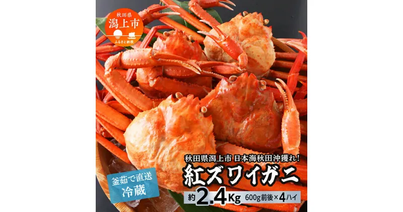 【ふるさと納税】《 冷蔵 》 ズワイガニ 4匹 約 2.4kg 紅ズワイガニ ベニズワイガニ ずわい ズワイ蟹 ずわいがに ずわい蟹 姿 ボイル 訳あり 蟹 カニ かに 国産 蟹 不揃い 傷 緊急 カニみそ入り秋田 潟上市 ランキング 【安田水産】