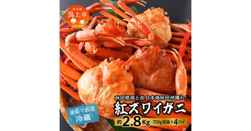 【ふるさと納税】《 冷蔵 》 ズワイガニ 4匹 約 2.8kg 紅ズワイガニ ベニズワイガニ ずわい ズワイ蟹 ずわいがに ずわい蟹 姿 ボイル 訳あり 蟹 カニ かに 国産 蟹 不揃い 傷 緊急 カニみそ入り 潟上市 【安田水産】