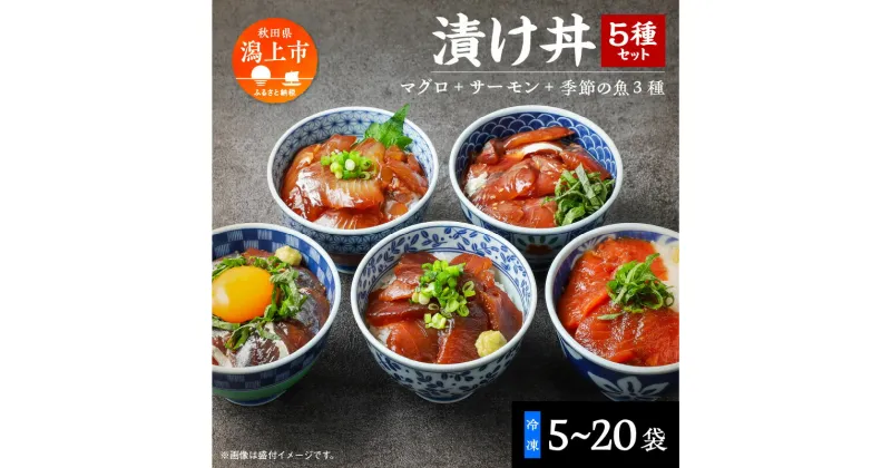 【ふるさと納税】海鮮漬け丼セット 5種×2袋 60g 選べる袋数 5袋 10袋 20袋 食べ比べ 訳アリ 訳あり 簡易包装 冷凍 海鮮丼 海鮮 マグロ サーモン タイ アジ イナダ 季節 魚 漬け 丼 魚介 簡単調理 お手軽 小分け パック 個包装 おすすめ 送料無料 【西村魚屋】