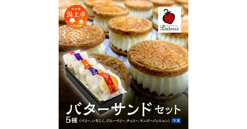 【ふるさと納税】 バターサンド 5種 セット 北海道 バタークリーム 詰め合わせ 焼き菓子 お取り寄せ グルメ お菓子 おやつ ギフト 贈答用 プレゼント 手土産 おすすめ ふるさと 潟上市 バレンタイン 秋田 送料無料 【パティスリー・パルテール】