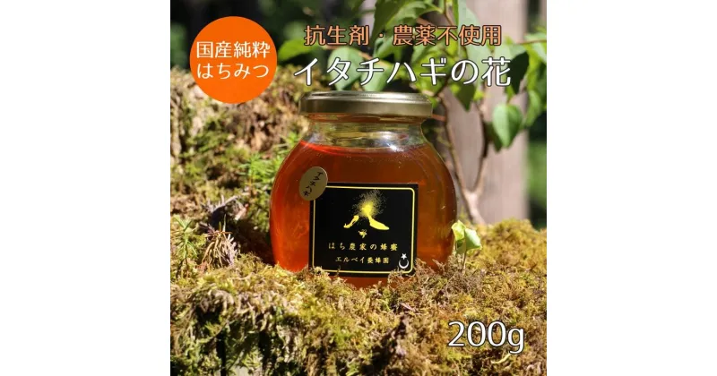 【ふるさと納税】はちみつ　イタチハギの花200g